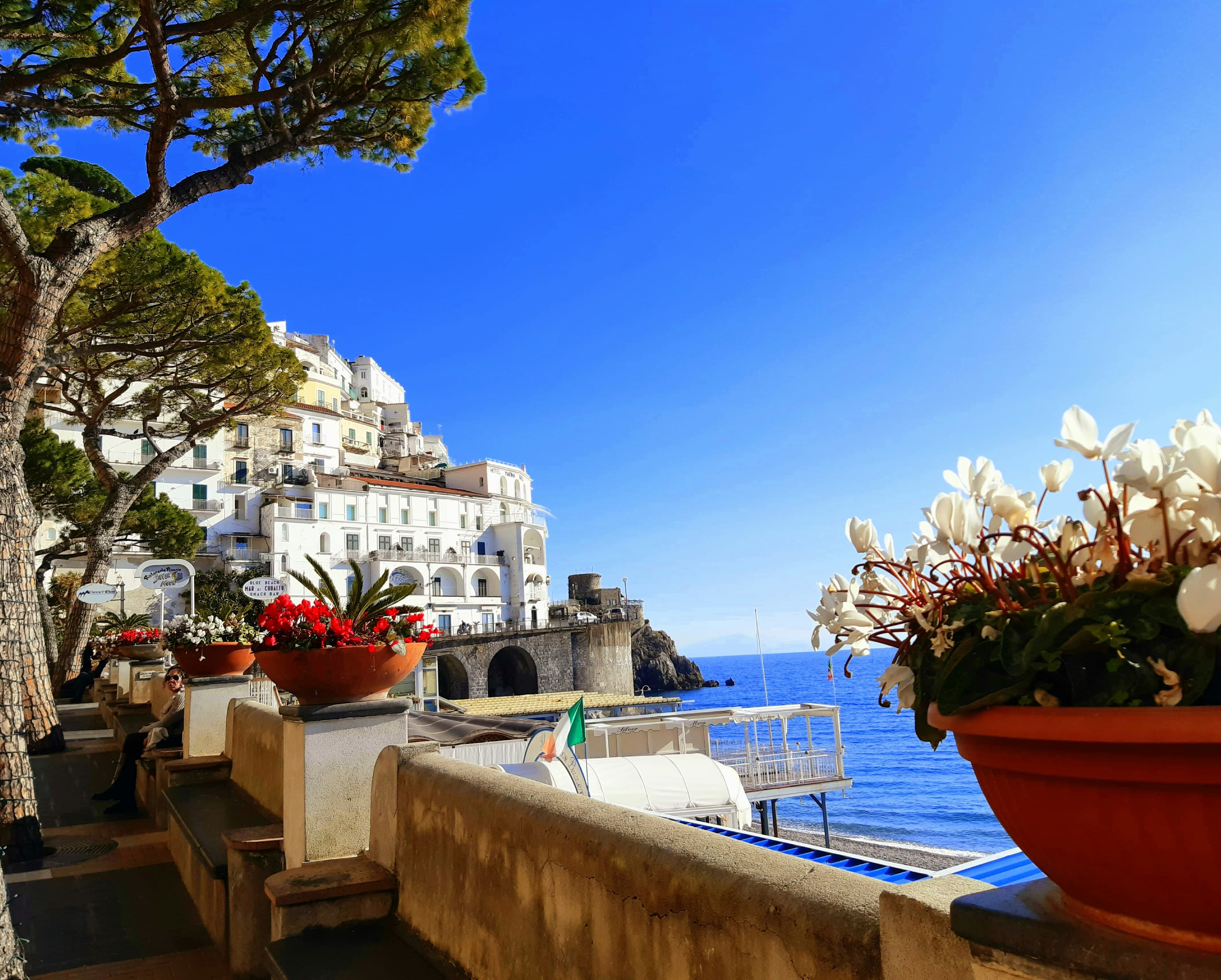Pale terraced buildings above the sea, seen past planters on a stone terrace