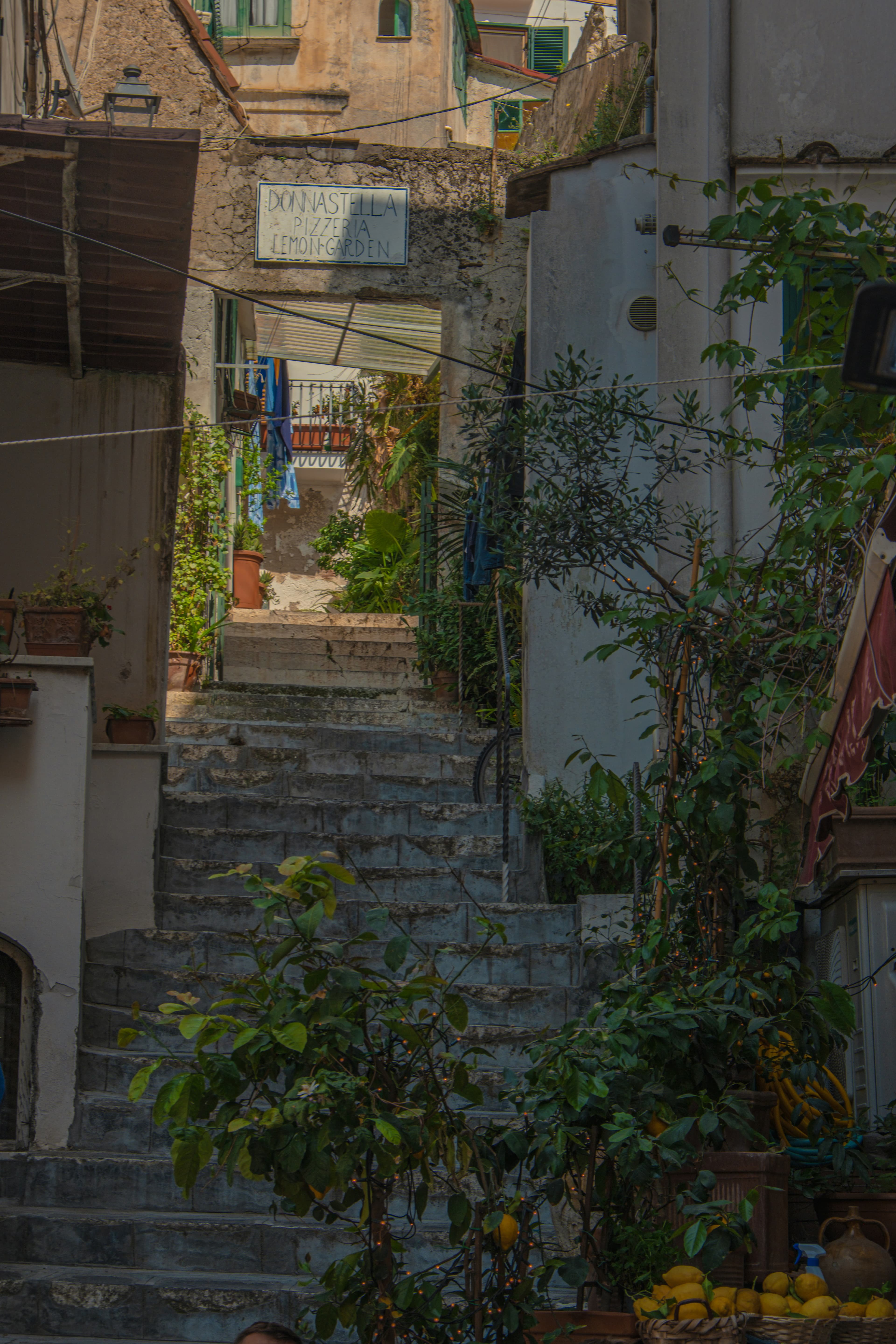 A stone stairway climbing between whitewashed houses and pots of geraniums in the village