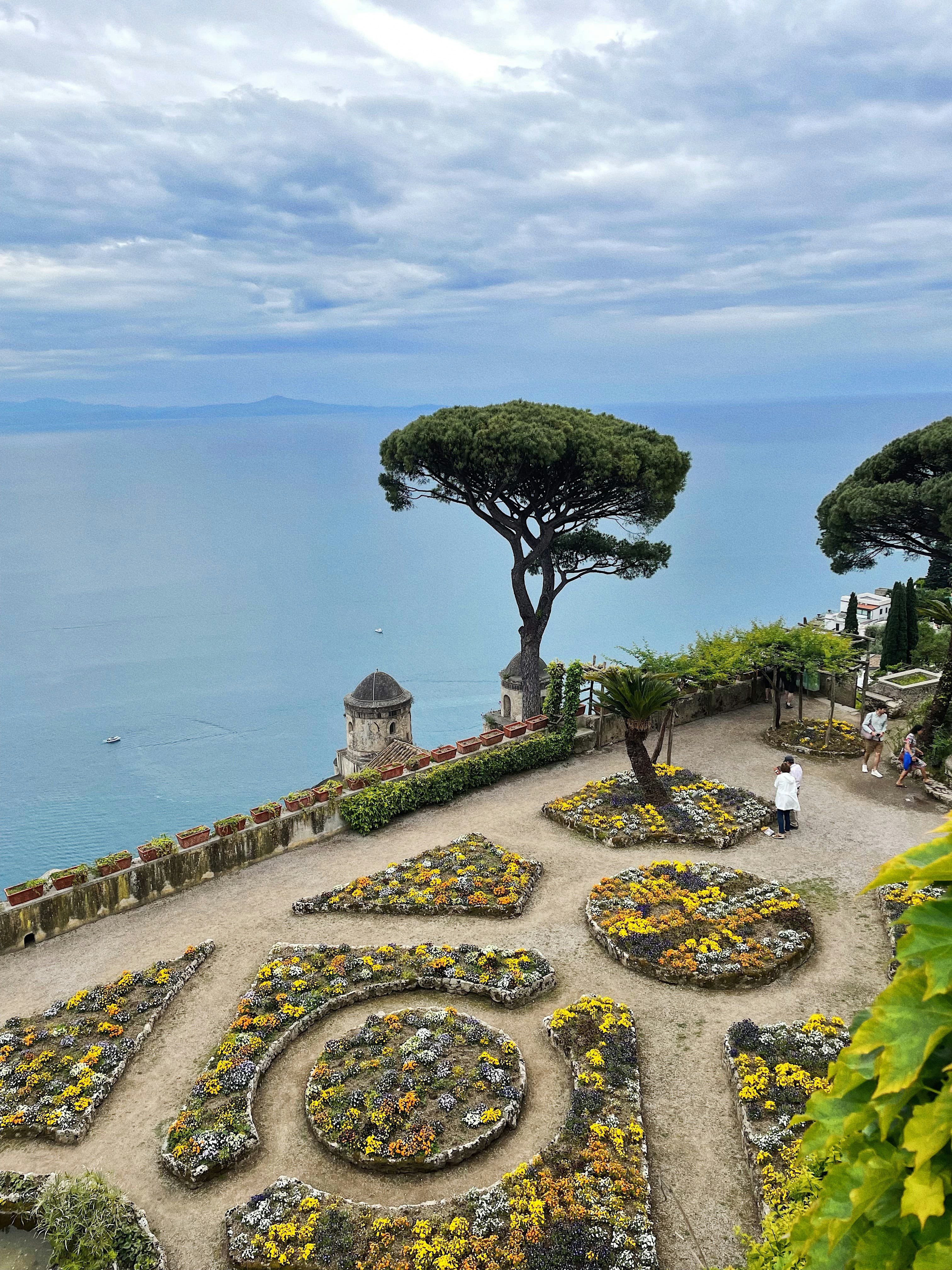 A garden terrace with a single old tree, the sea opening out behind it